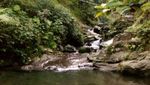 Melepas Rindu Sambil Hiking di Bogor
