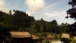 Melepas Rindu Sambil Hiking di Bogor
