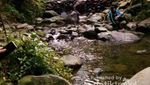 Melepas Rindu Sambil Hiking di Bogor