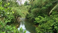 Pemandangan hijau menyegarkan saat menuju lokasi