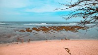 Pantai Green Bowl dari ketinggian