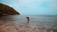 Bermain air di Pantai  Green Bowl yang jernih