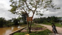 Kolam minum gajah