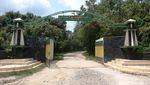 Melihat Aksi Gajah Menggemaskan di Way Kambas, Lampung