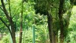 Melihat Aneka Hewan Langka di Faunaland di Ancol