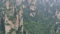 Pemandangan dari puncak teratas