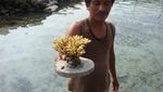 Melihat Budidaya Terumbu Karang