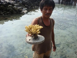 Melihat Budidaya Terumbu Karang