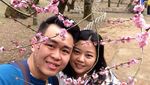 Melihat Bunga Ume Saat Musim Semi di Jepang