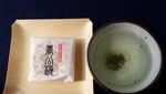 Melihat Bunga Ume Saat Musim Semi di Jepang