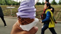 Es Krim Lavender Hokkaido