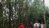 Tra Su Forest sebagai salah satu daya tarik Chau Doc.