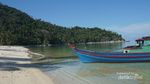 Melihat dari Dekat Konservasi Penyu di Pulau Pahat, Anambas
