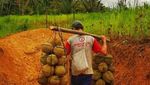 Melihat Desa Baduy Banten yang Makin Ramai Pengunjung