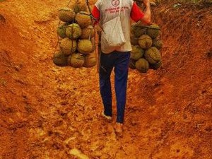 Melihat Desa Baduy Banten yang Makin Ramai Pengunjung