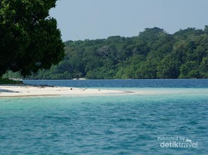 Melihat Hewan Eksotis Asli Jawa di Taman Nasional Ujung Kulon