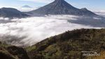 Melihat Indahnya Lautan Awan di Puncak Sikunir