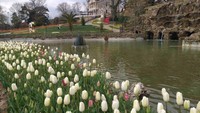 Kolam di Emirgan Park memberikan kesan antik dengan view bangunan antik, air terjun, jejeran bungan tulip di sepanjang kolam dan pemandangan alam di sekitar kolam.