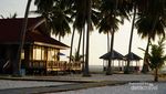 Melihat Kehidupan Penyu Lebih Dekat di Derawan