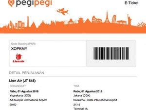 Melihat Kehidupan Penyu Lebih Dekat di Derawan