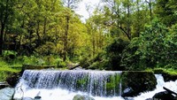 sungai dengan air yang begitu jernih dan pemandangan yang begitu indah