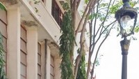 pengunjung dan wisatawan betah berlama-lama dikawasan kota tua karena pedestrian yang sudah diperbaiki