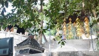 Teduhnya kawasan A Ma temple oleh pepohonan yang rindang