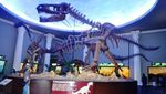 Melihat Lebih Dekat Kerangka Dinosaurus di Museum Satwa, Batu