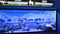 Diorama di dalam museum