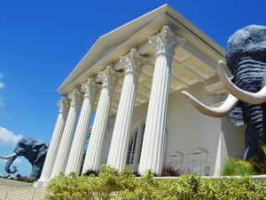 Melihat Lebih Dekat Kerangka Dinosaurus di Museum Satwa, Batu