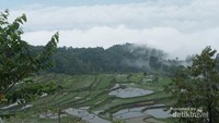 Batutumonga laksana desa diatas awan