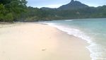 Melihat Lumba-Lumba di Teluk Kiluan