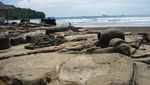Melihat Malin Kundang Dikutuk Menjadi Batu