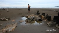 Wujud Batu Malin Kundangnya.