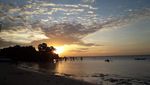 Melihat Mangrove Menari di Pantai Walakiri Sumba