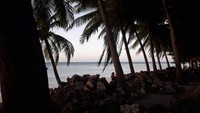 Para pengunjung menikmati senja di bawah rimbunnya pohon kelapa