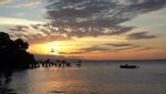 Melihat Mangrove Menari di Pantai Walakiri Sumba