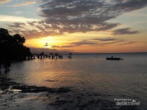 Melihat Mangrove Menari di Pantai Walakiri Sumba