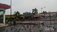 Area tempat wisata yang dipenuhi oleh burung-burung merpati