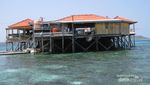 Melihat Penangkaran Penyu di Tanjung Bira