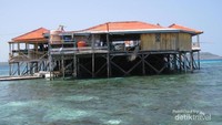 Rumah makan plus tempat penangkaran penyu
