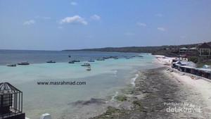Melihat Penangkaran Penyu di Tanjung Bira