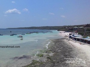 Melihat Penangkaran Penyu di Tanjung Bira