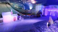 Area Ski - Alps Ice and Snow World