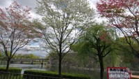 Osaka Castle