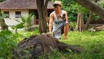 Melihat Si Naga Purba Lebih Dekat