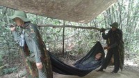 Membawa tolak angin untuk kesehatan