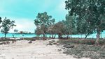 Melihat Surga Kecil dari Sulawesi Tengah