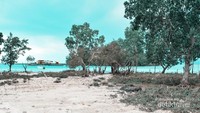 Pantai Teluk Damai
