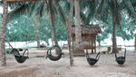 Melihat Surga Kecil dari Sulawesi Tengah